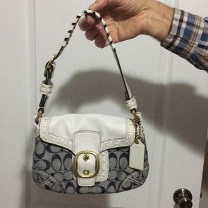 Ladies dinner bag